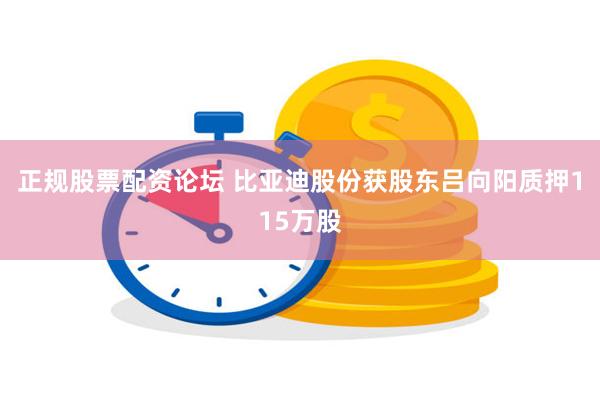正规股票配资论坛 比亚迪股份获股东吕向阳质押115万股