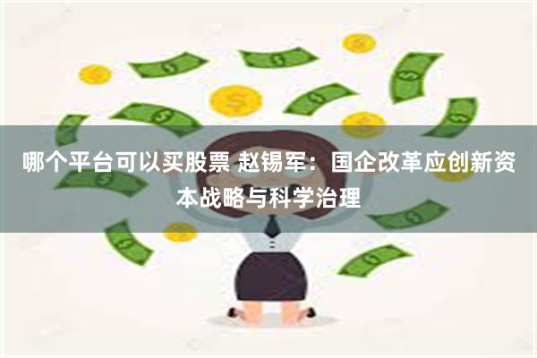 哪个平台可以买股票 赵锡军：国企改革应创新资本战略与科学治理