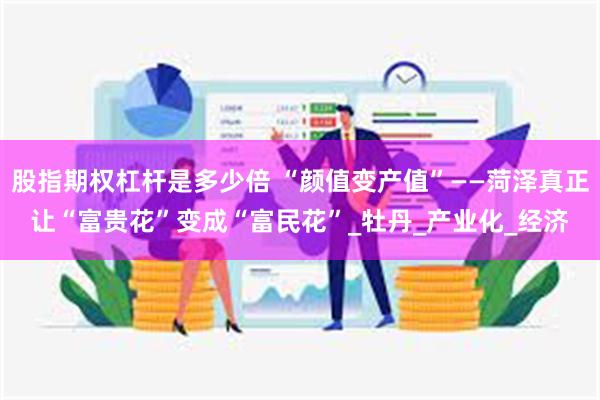 股指期权杠杆是多少倍 “颜值变产值”——菏泽真正让“富贵花”变成“富民花”_牡丹_产业化_经济