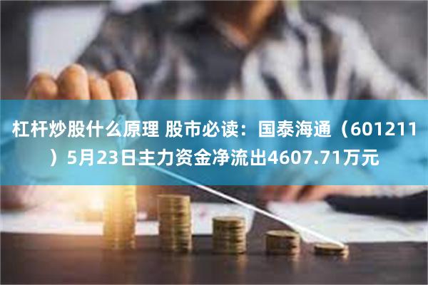杠杆炒股什么原理 股市必读：国泰海通（601211）5月23日主力资金净流出4607.71万元