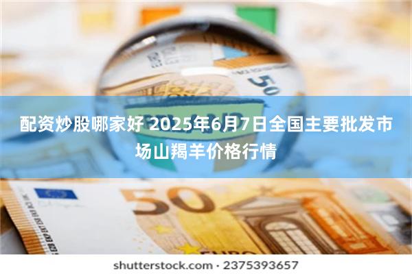 配资炒股哪家好 2025年6月7日全国主要批发市场山羯羊价格行情