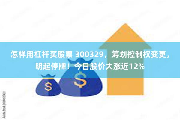 怎样用杠杆买股票 300329，筹划控制权变更，明起停牌！今日股价大涨近12%