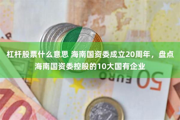 杠杆股票什么意思 海南国资委成立20周年，盘点海南国资委控股的10大国有企业