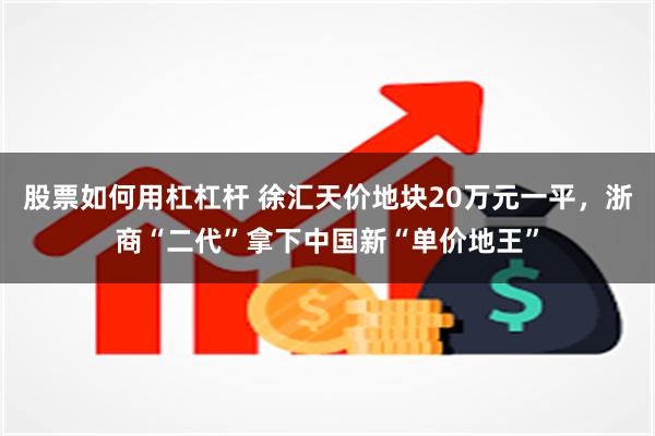 股票如何用杠杠杆 徐汇天价地块20万元一平，浙商“二代”拿下中国新“单价地王”