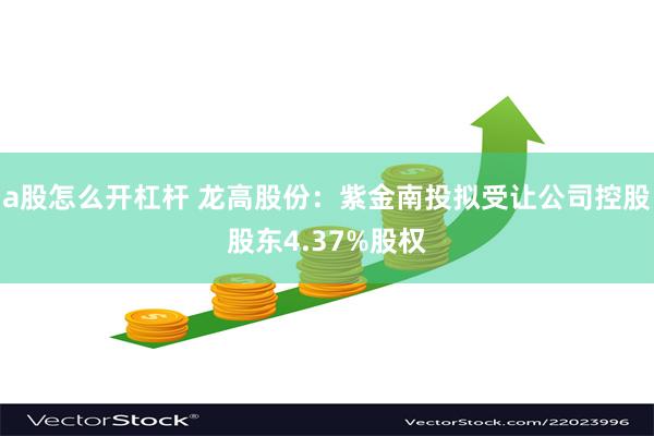 a股怎么开杠杆 龙高股份:紫金南投拟受让公司控股股东4.37%股权